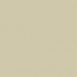 Primus Vitoria, Floor, 20X20 P825 - BEGE CLARO