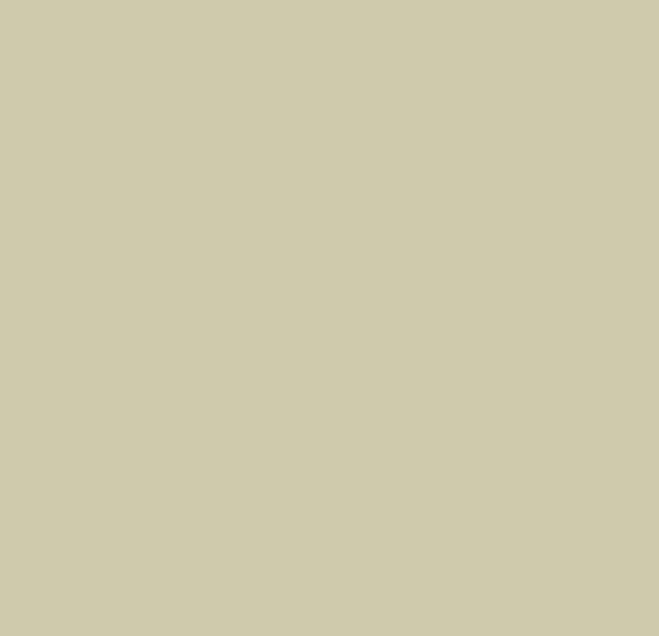 Primus Vitoria, Floor, 20X20 P825 - BEGE CLARO